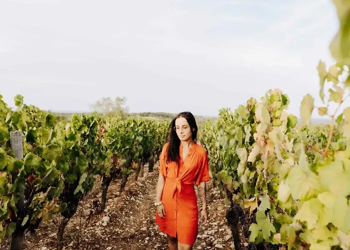 Mas Del Perie - Parcel Tiny House - Tiny House Entre Vignes Et Vallee, Pres De Cahors Mae-2263